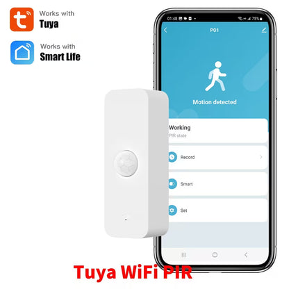 Standalone WiFi Motion Detector